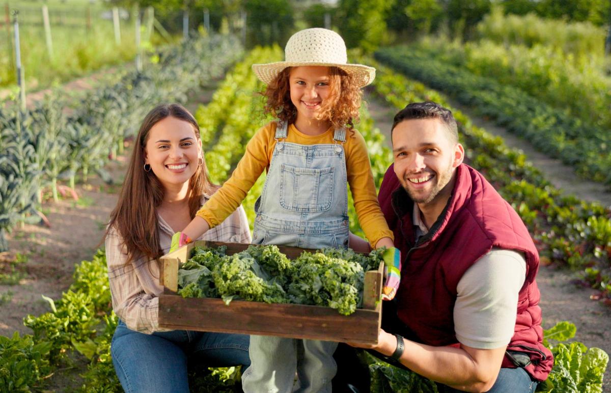 В «Школе фермера» прошли обучение 300 ветеранов СВО и членов их семей