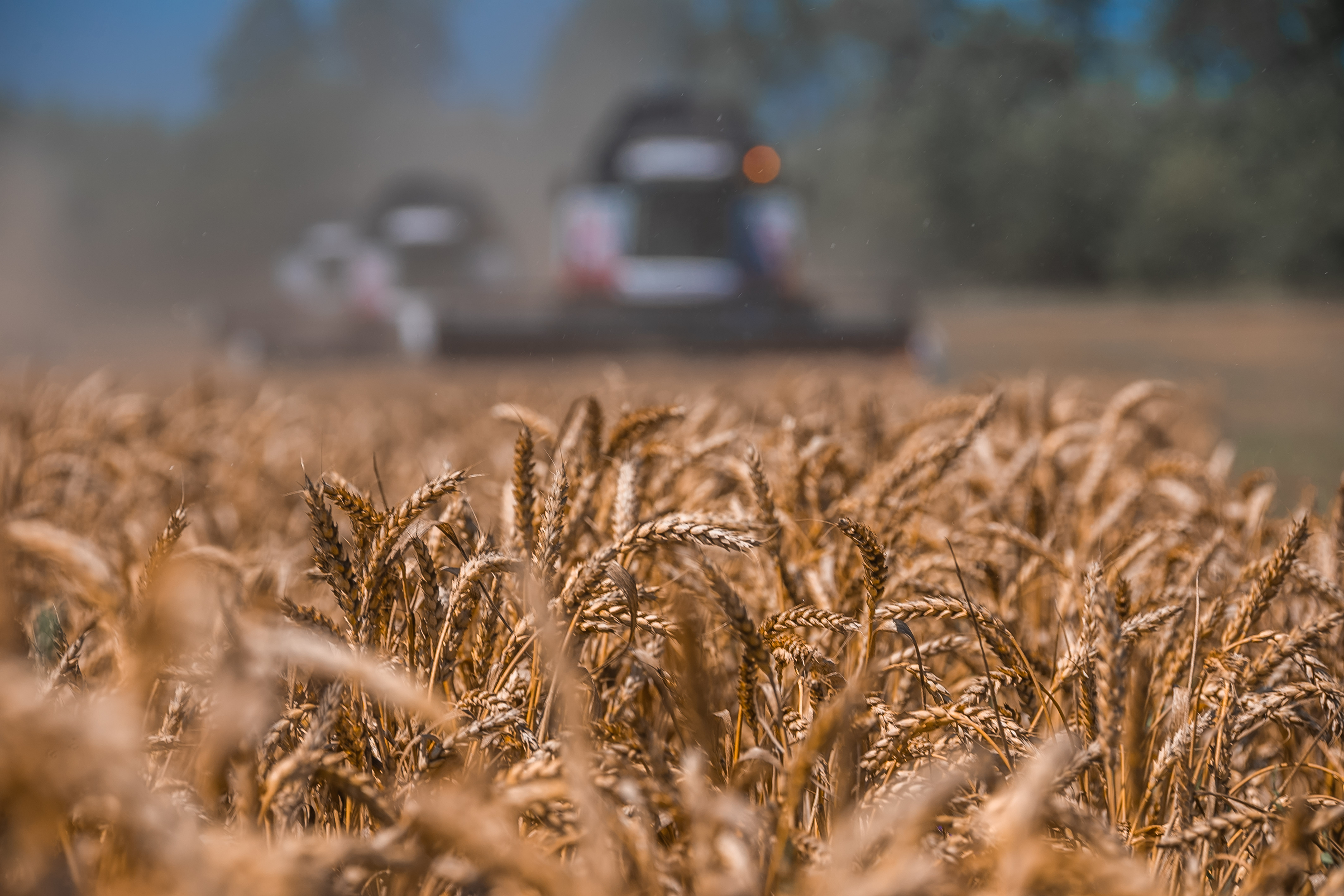 Министр сельского хозяйства Липецкой области Екатерина Маркова рассказала о предварительных итогах года