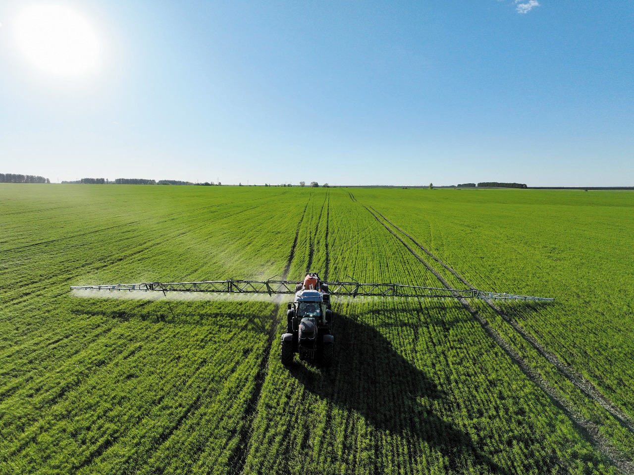 В хозяйствах Башкортостана продолжается уход за посевами