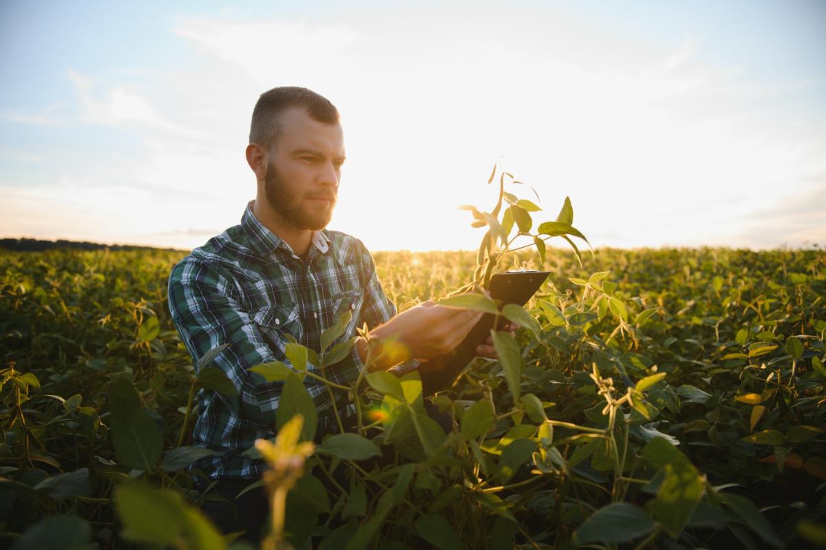 В России ведется активная работа по привлечению кадров в АПК | Agroday.RU