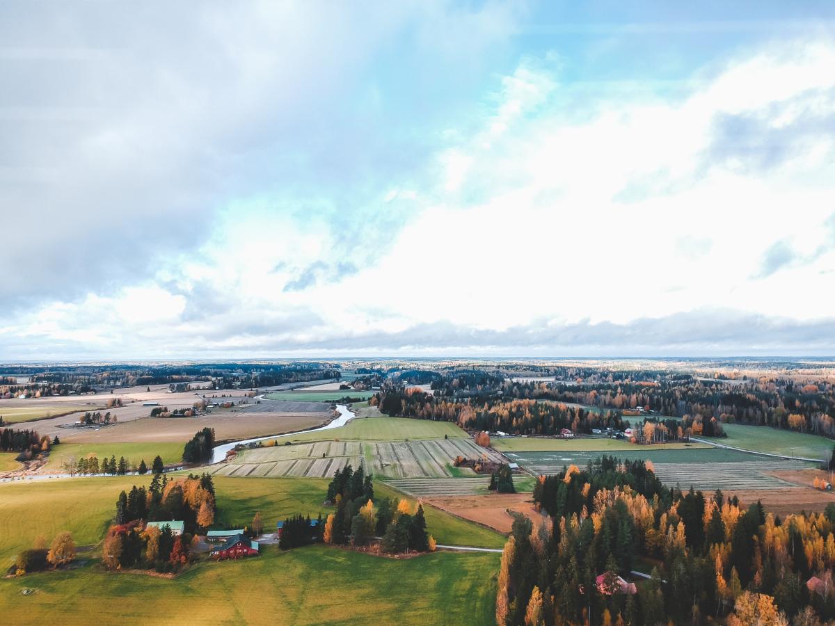 Треть земельных участков по «Дальневосточному гектару» используют под сельское хозяйство