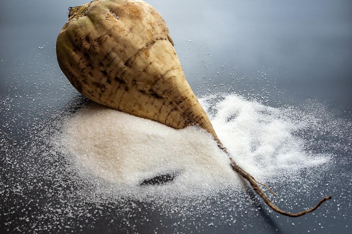 За 5 лет производство сахара в Орловской области выросло на 35%