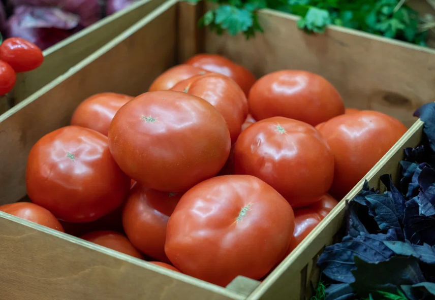 В магазинах Курганской области стоимость свежих помидоров снизилась на 9,1%