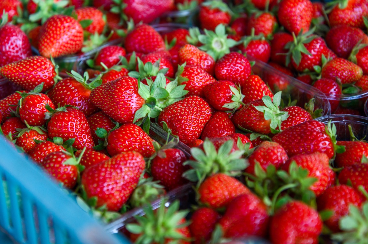 Порядка 900 тонн ягод собрали подмосковные аграрии в этом сезоне