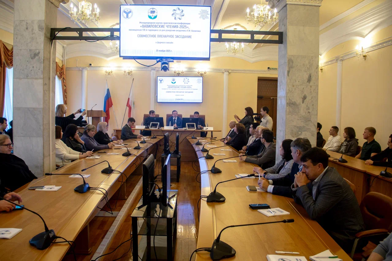 В Саратовской области доля использования семян отечественной селекции в зерновой группе достигла 90%