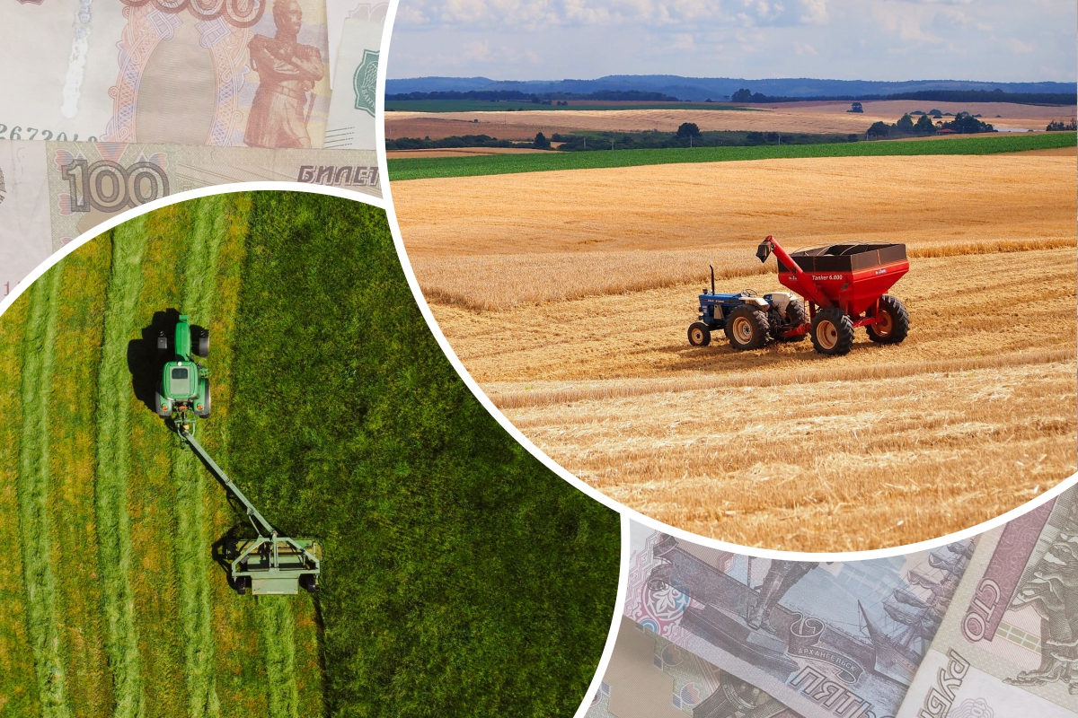 В Бурятии планируется засеять 121,3 тыс. га яровыми культурами