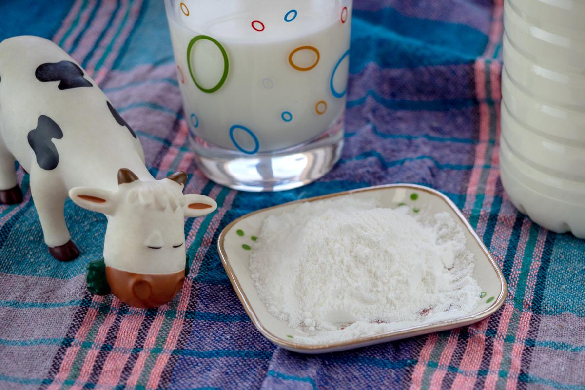 В Ингушетии производство молока увеличилось на 4,3%