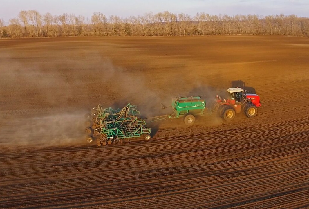 В Саратовской области яровые культуры посеяны на 3,2 тыс. га