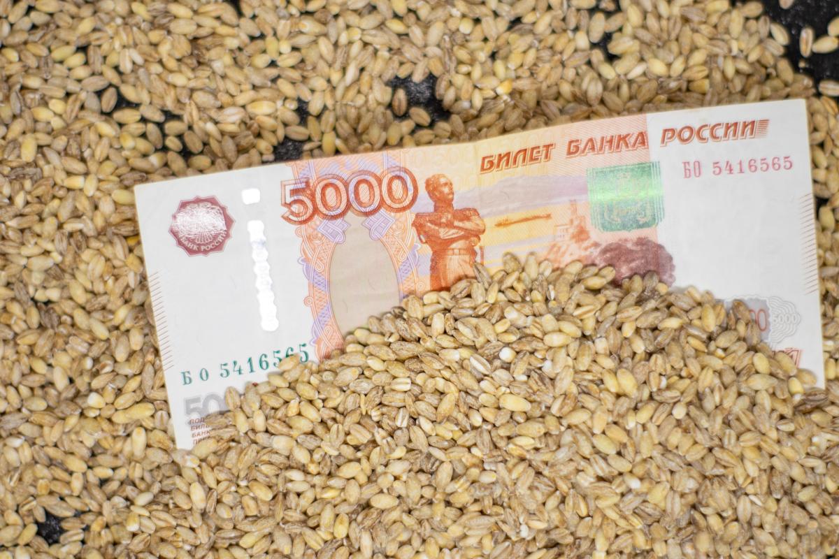 В 2024 году на биржевых торгах РФ реализовано агропродукции на 63 млрд руб.