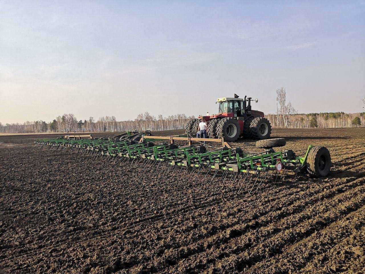 Красноярский холдинг планирует увеличить производство рапса в 22 раза