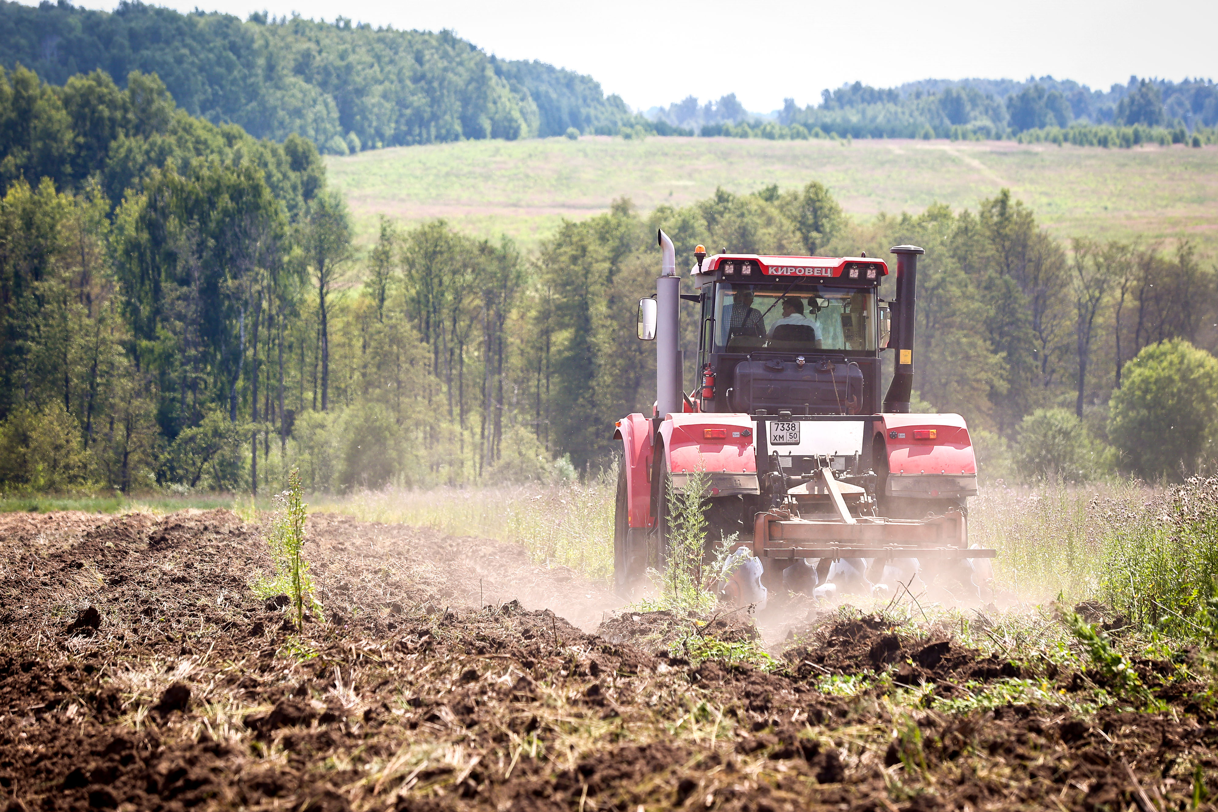 В Подмосковье ввели в сельхозоборот более 4 тысяч гектаров залежных земель