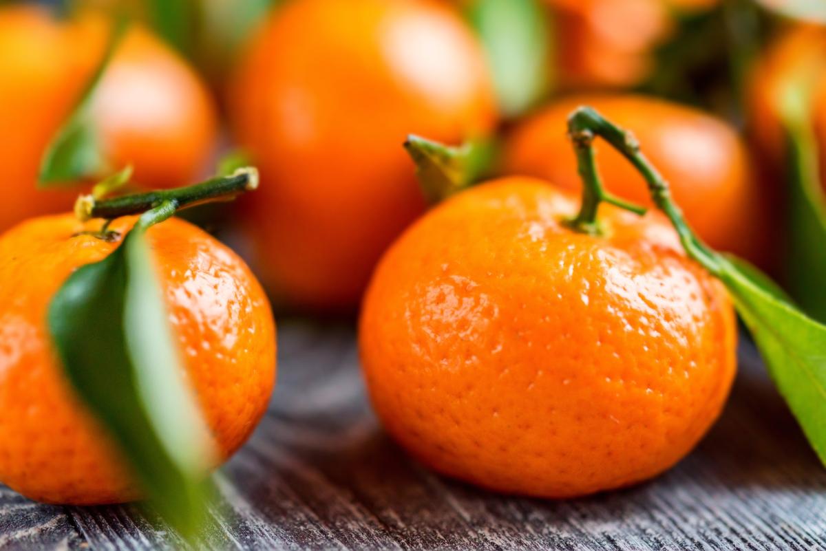 В Россию с начала года к 23 ноября ввезено почти 600 тыс. т мандаринов