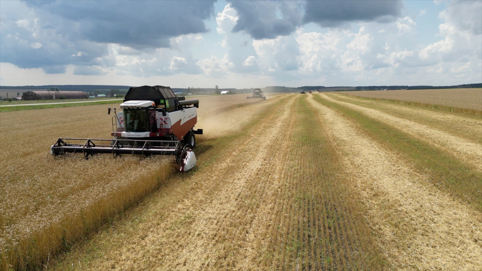 В 2024 году аграриям Башкортостана направлено более 3 млрд рублей государственной поддержки