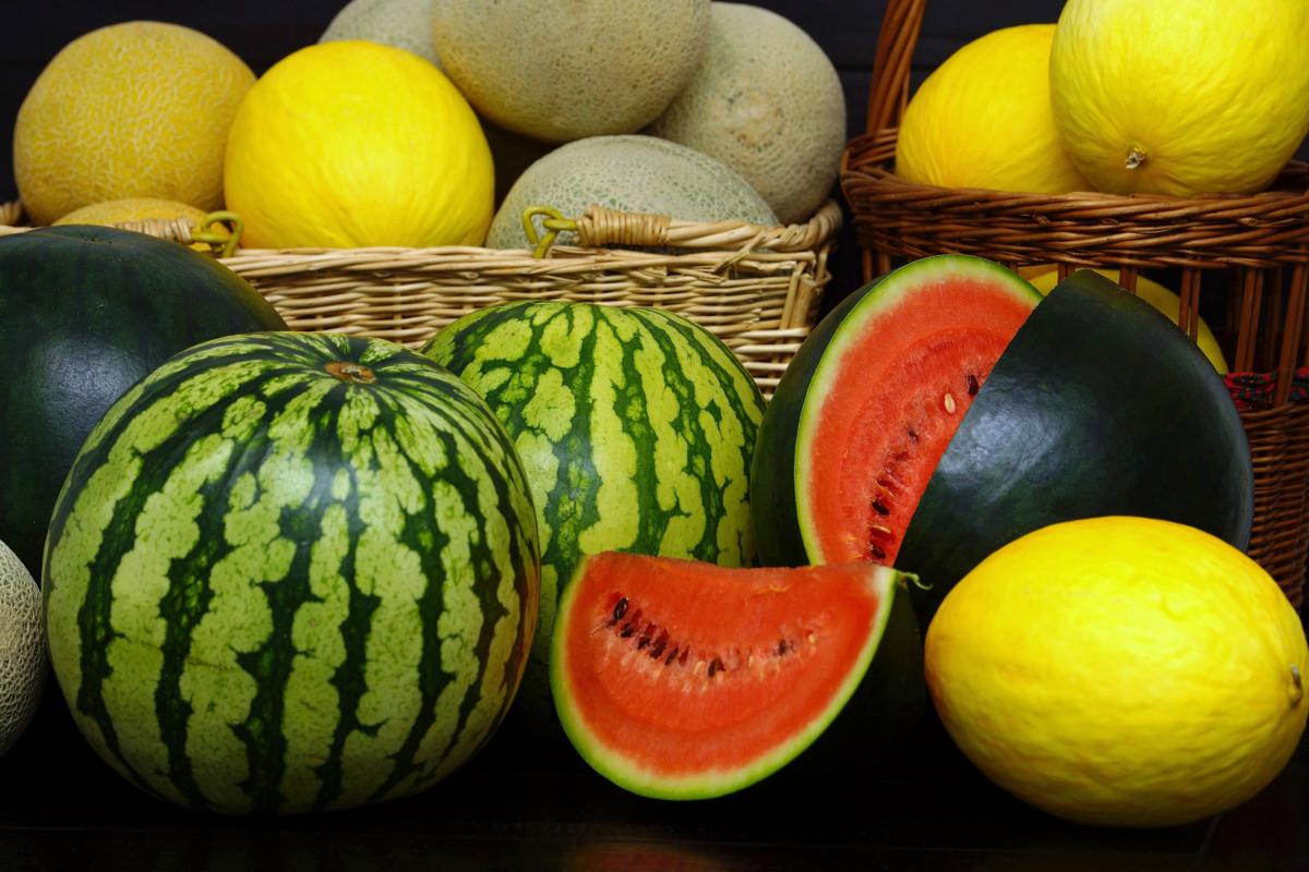 Сбор арбузов и дынь в РФ в текущем году может на 100 тыс. т превысить прошлогодний — «Россельхозбанк»