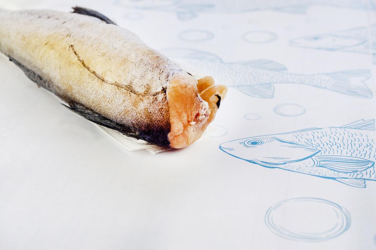 В основную часть охотоморской путины рыбаки РФ добыли более 1 млн т минтая