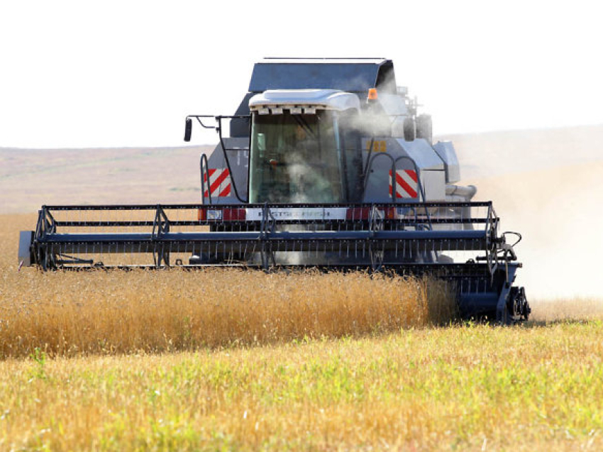 Урожай зерновых культур в Забайкалье на 11% превысил уровень 2021 года