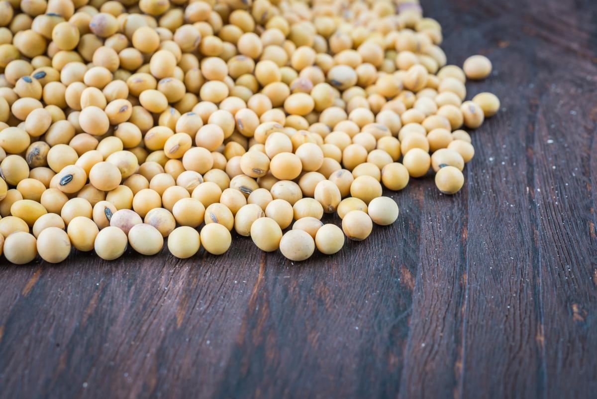 Площадь сева сои в РФ может увеличиться на 3% — эксперты