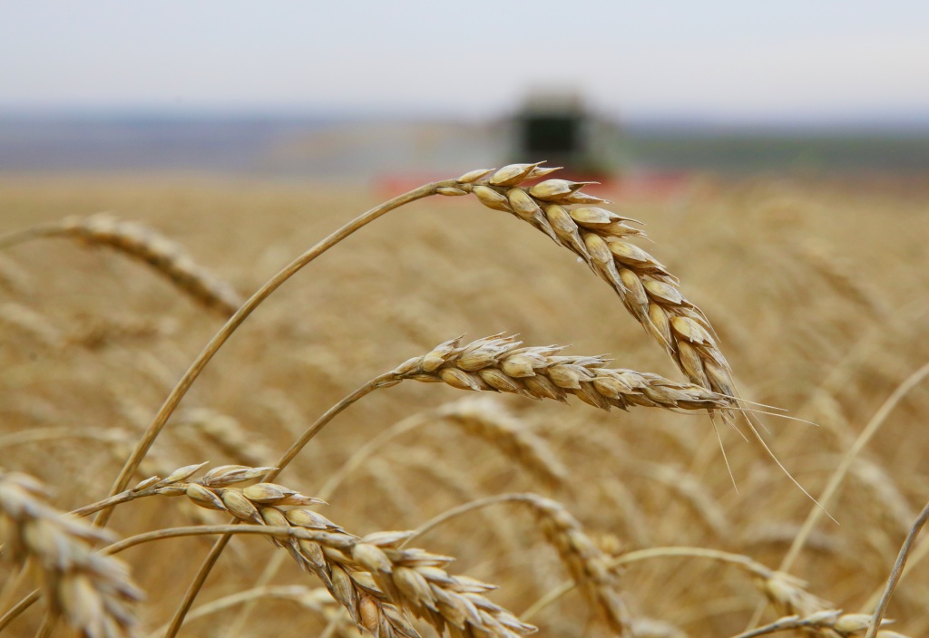 Иркутская область нарастила объемы экспорта