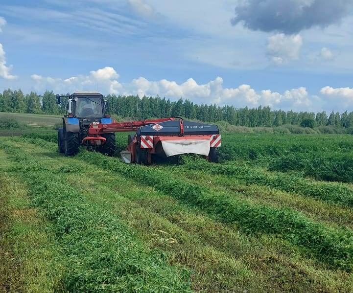 В Липецкой области началась заготовка кормов