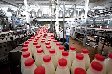 Объём реализации молока в сельхозорганизациях вырос на 3,1%