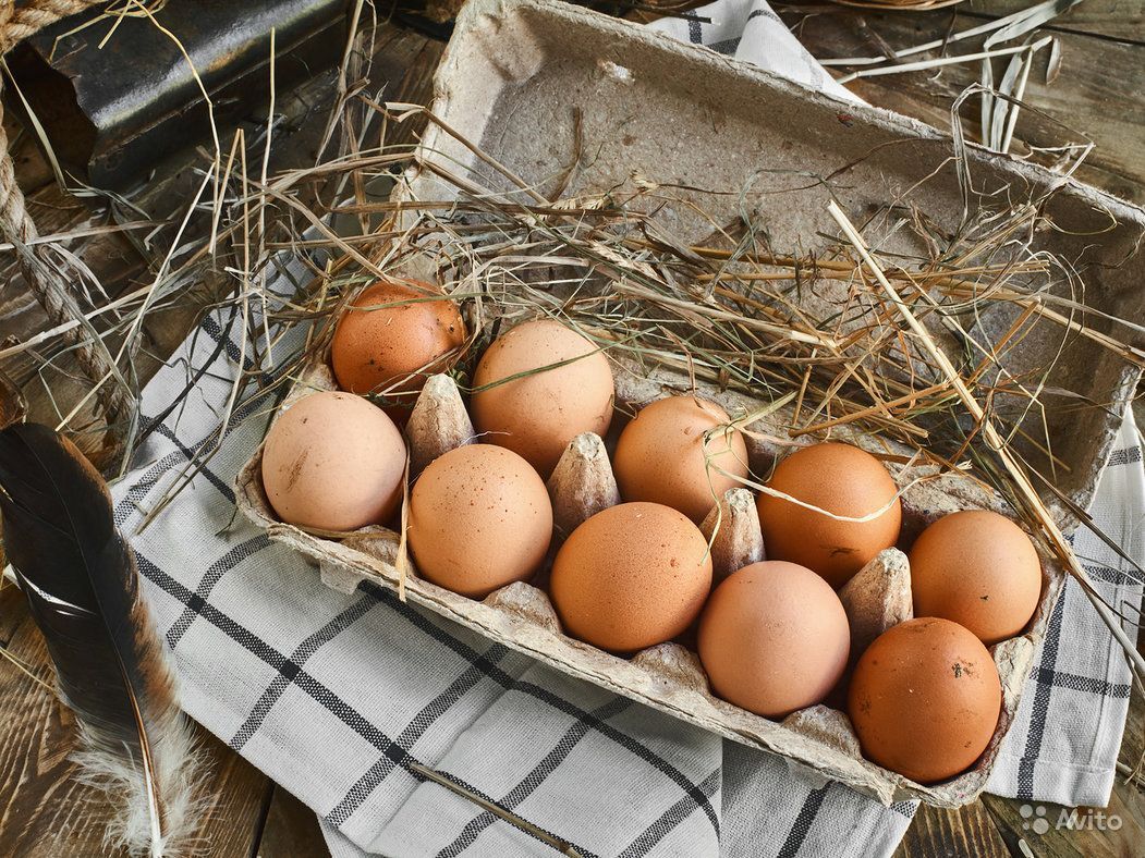 Более 890 млн штук яиц произведено в Саратовской области за 11 месяцев этого года