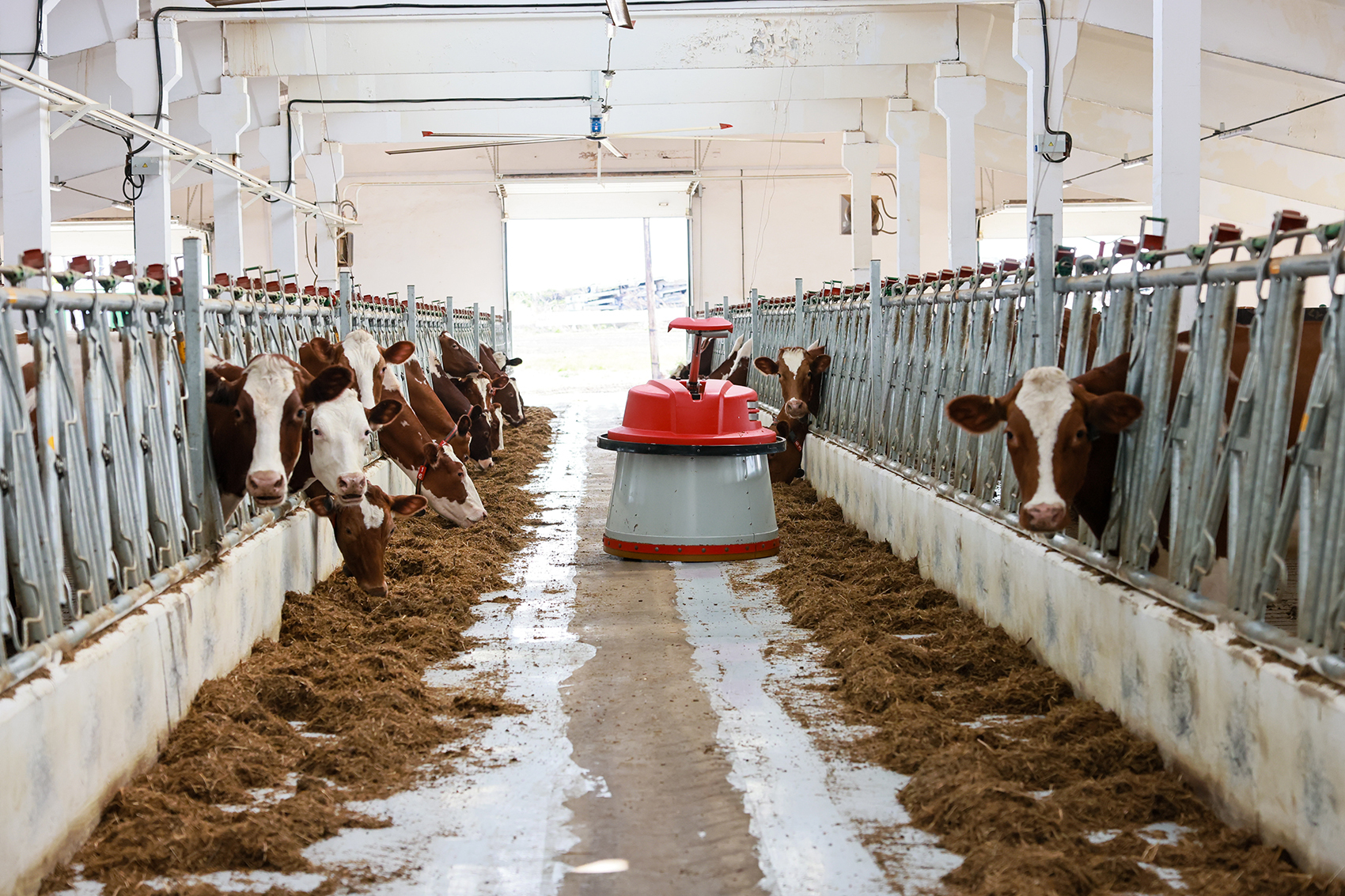 Агропромышленные предприятия края получат господдержку на реализацию инвестиционных проектов