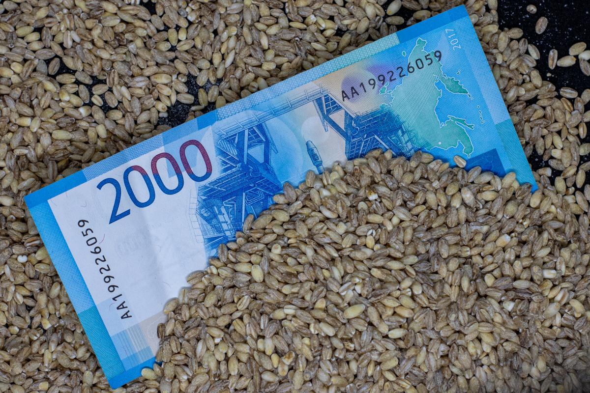 В России повысили базовые цены для расчета экспортных пошлин на зерно