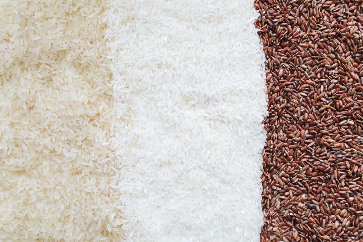 В 2023 году урожай риса в России может увеличиться на 15% — эксперт