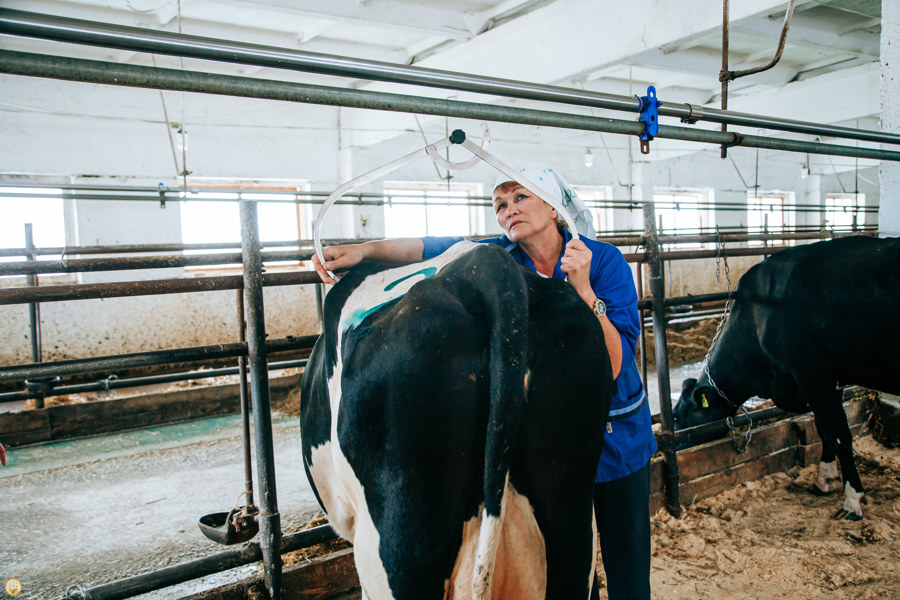 В Чувашии выберут лучших в аграрных профессиях