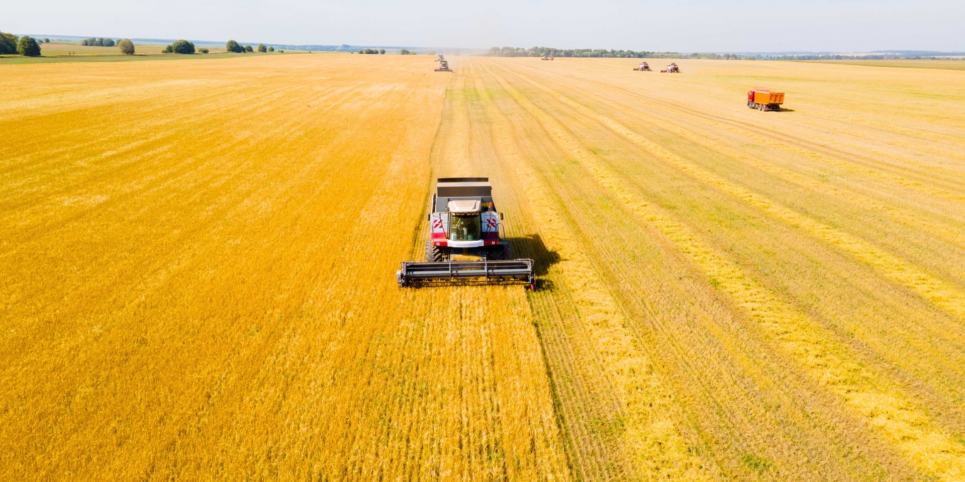 Урожай зерна в Ивановской области  в 2022 году на 30% выше прошлогоднего
