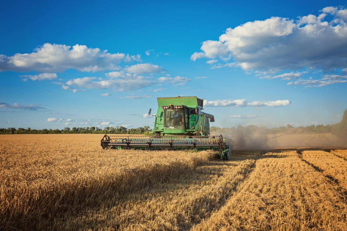 Самарские аграрии намолотили более 2,5 млн т зерна