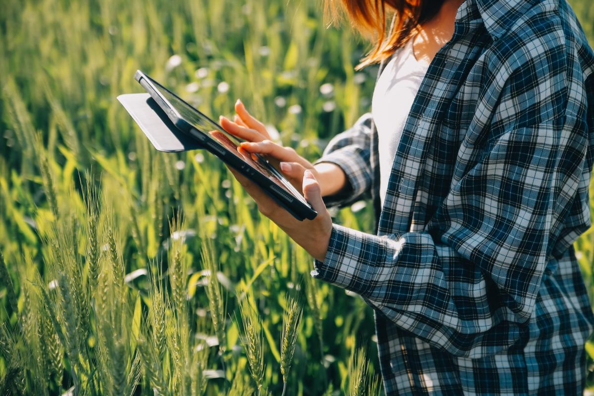 В Казанском ГАУ внедрили цифровую платформу для обучения земледелию