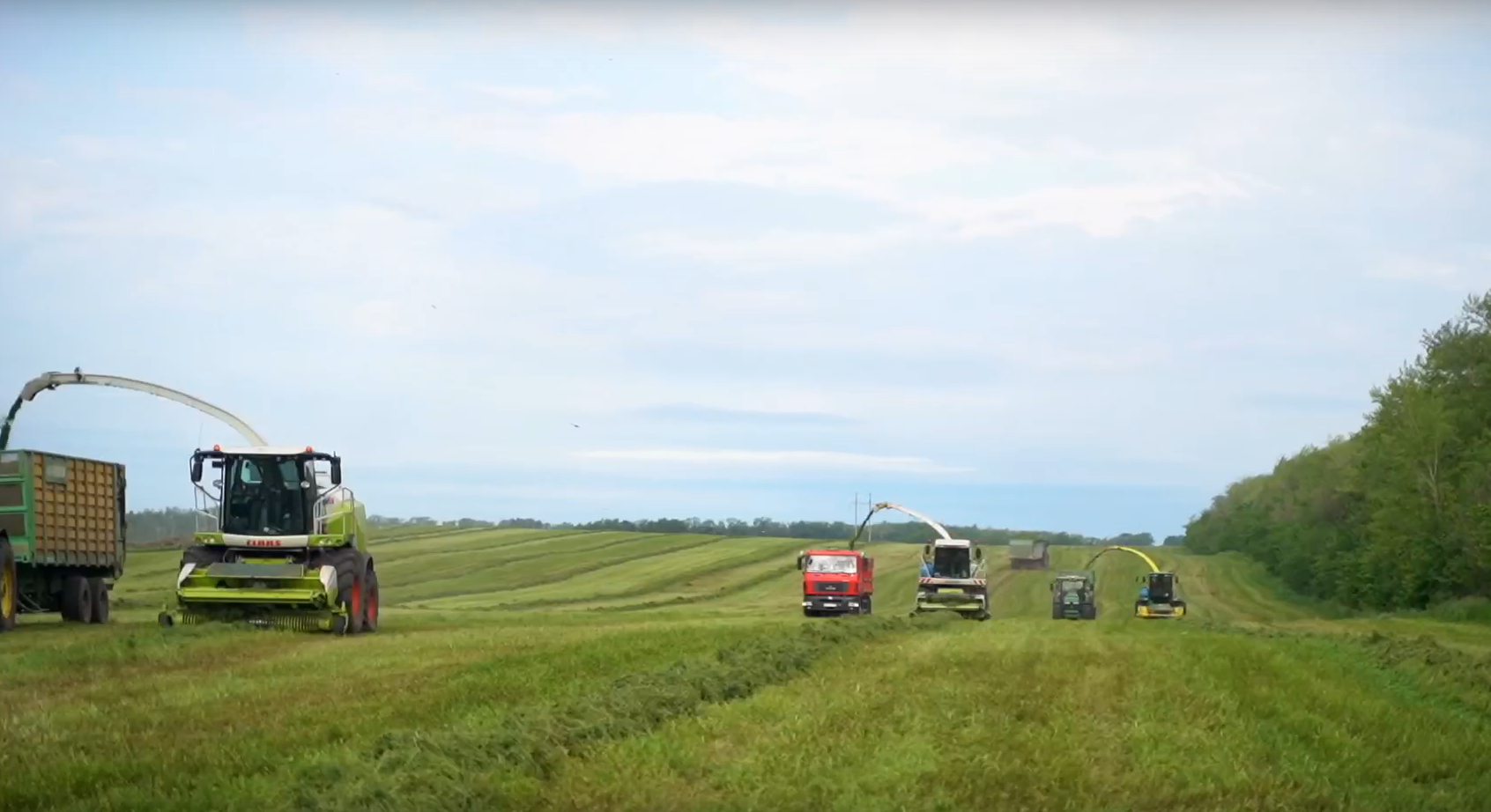Обеспеченность кормами в АПК Башкортостана выросла до 12 ц. к. ед. на условную голову