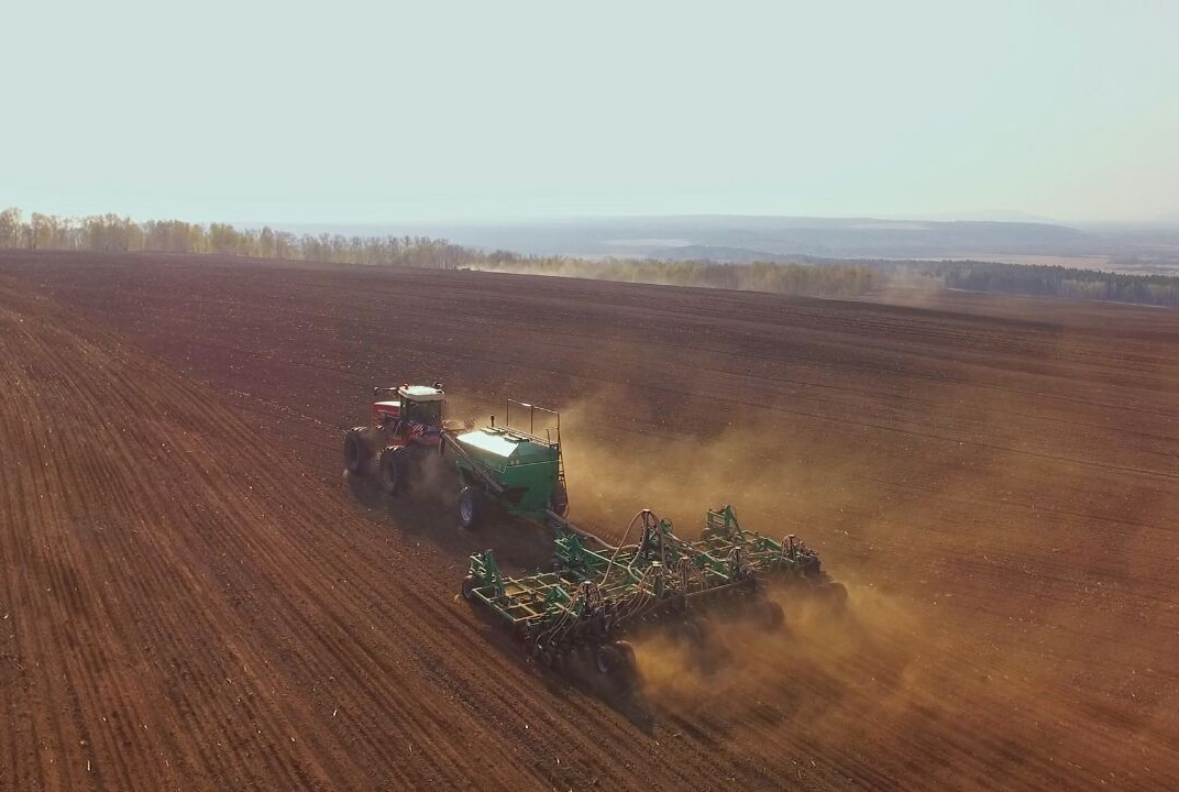 В Бурятии планируется увеличить площадь под масличные на 65,9%