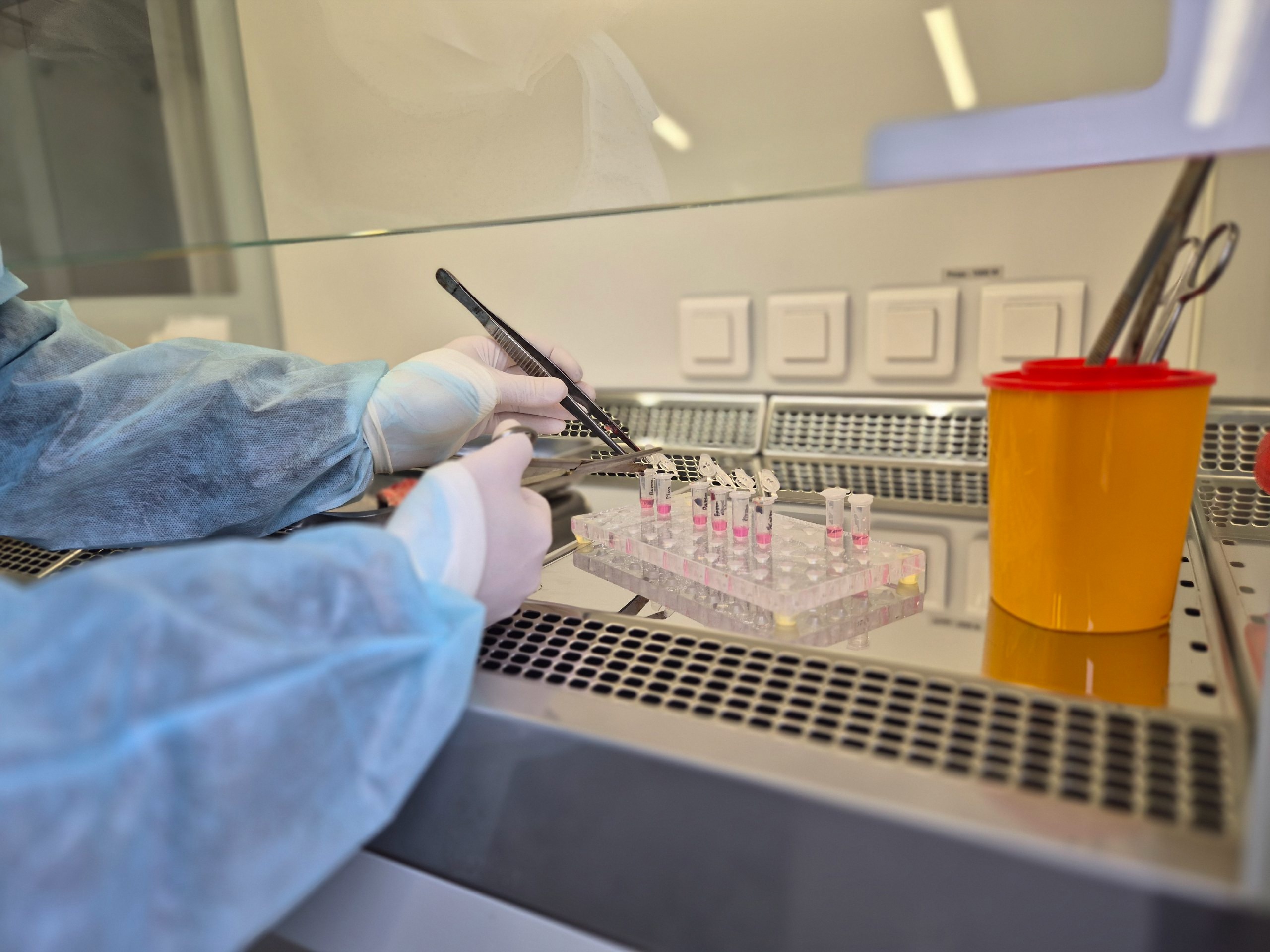 Андрей Муковнин оценил работу государственной ветеринарной службы Республики Карелия