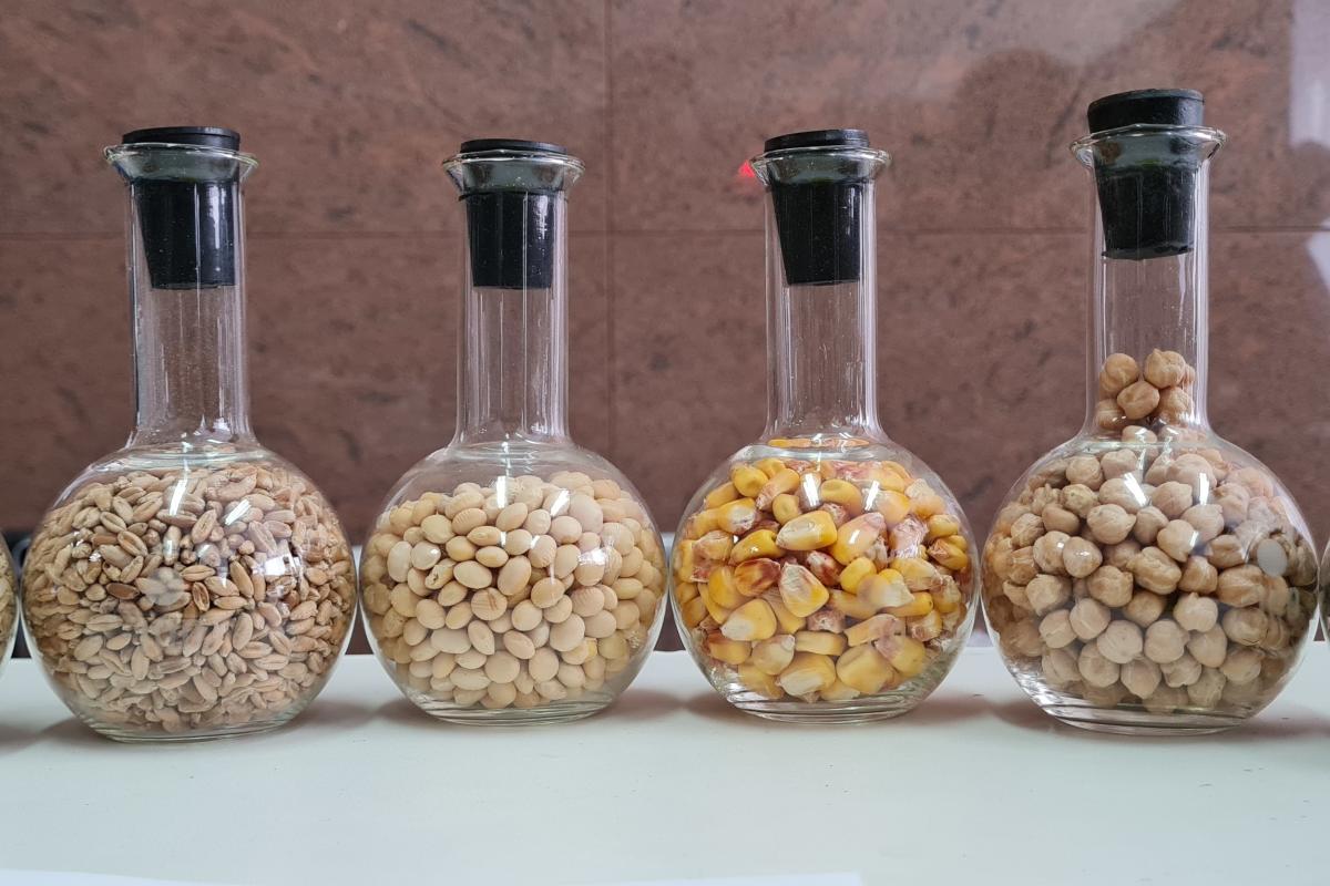 В России планируют ужесточить контроль за подкарантинной продукцией