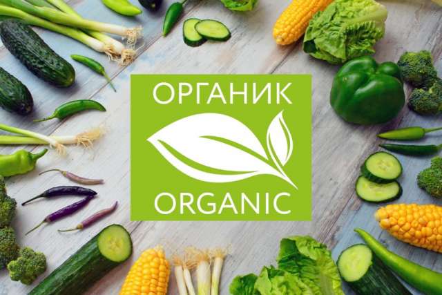 В Белгородской области сертифицирована первая органическая спаржа