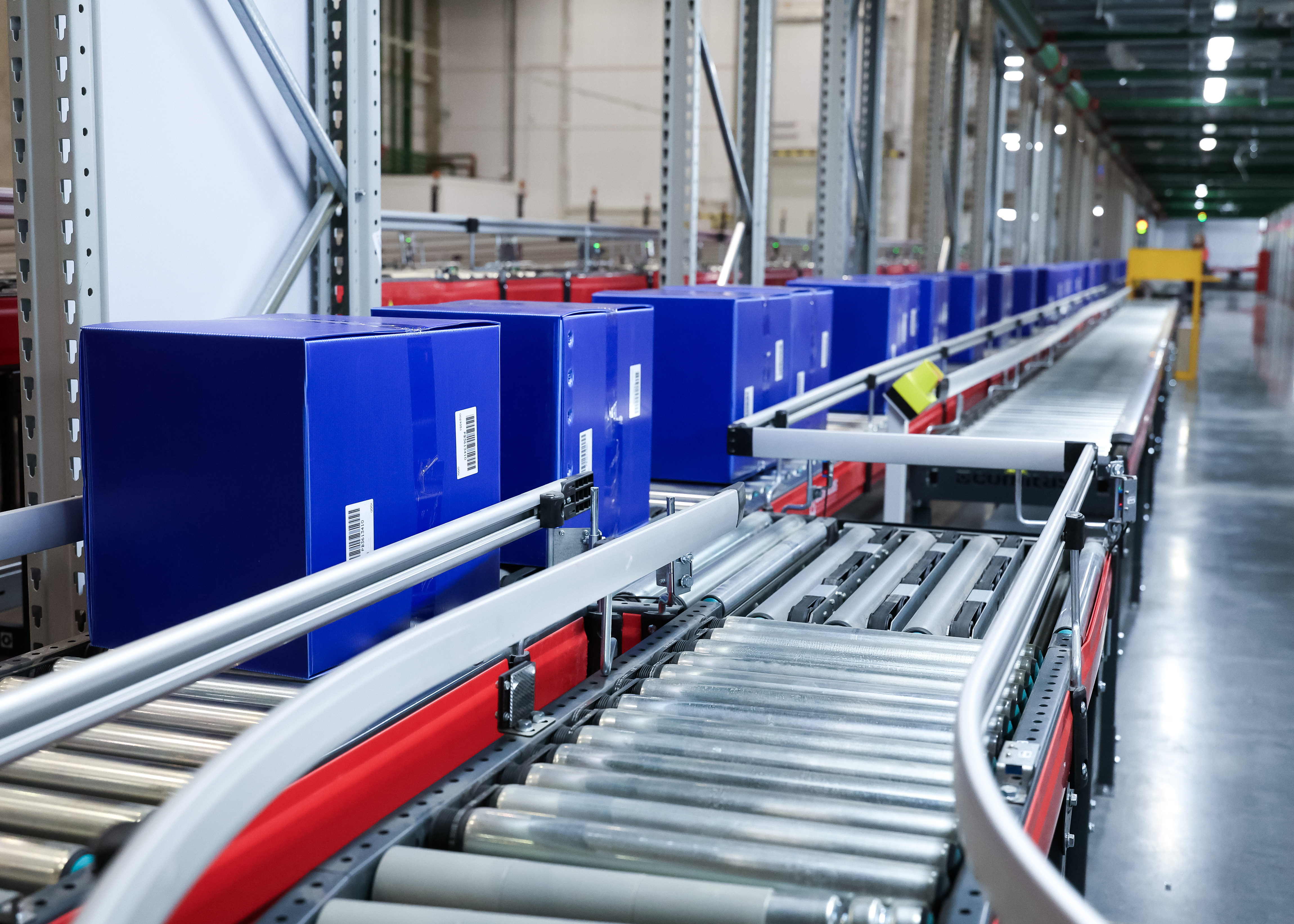 Подмосковье усиливает позиции на азиатском рынке: за 7 месяцев во Вьетнам экспортировано 20 тысяч тонн продукции АПК