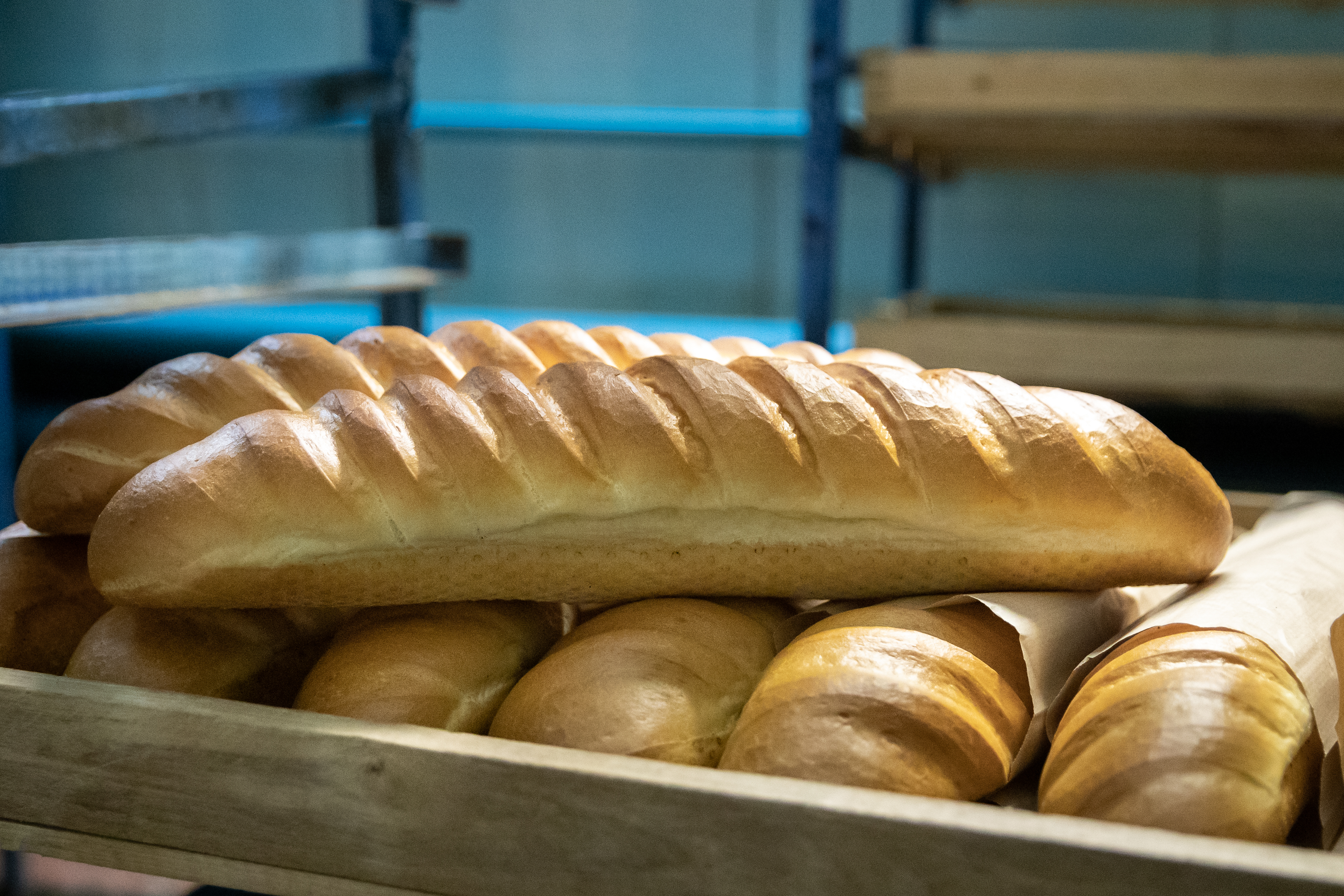В Минсельхозе Крыма стартует прием документов на предоставление субсидии предприятиям хлебопекарной промышленности