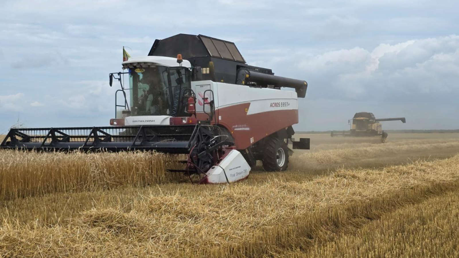 Татарстан приступил к уборке зерновых культур