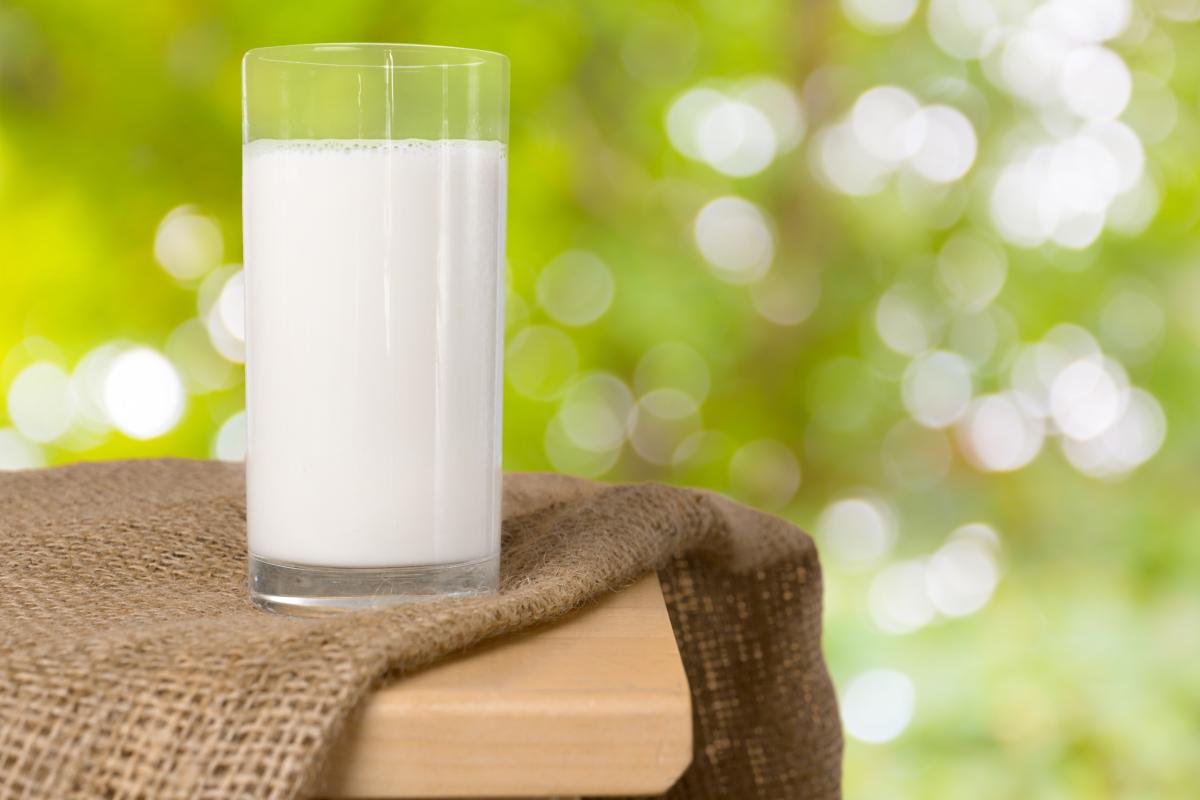 Выпуск молока в нижегородских сельхозорганизациях вырос на 5,2%