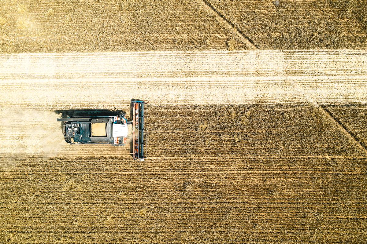 В Свердловской области собрали 768 тыс. т зерновых культур