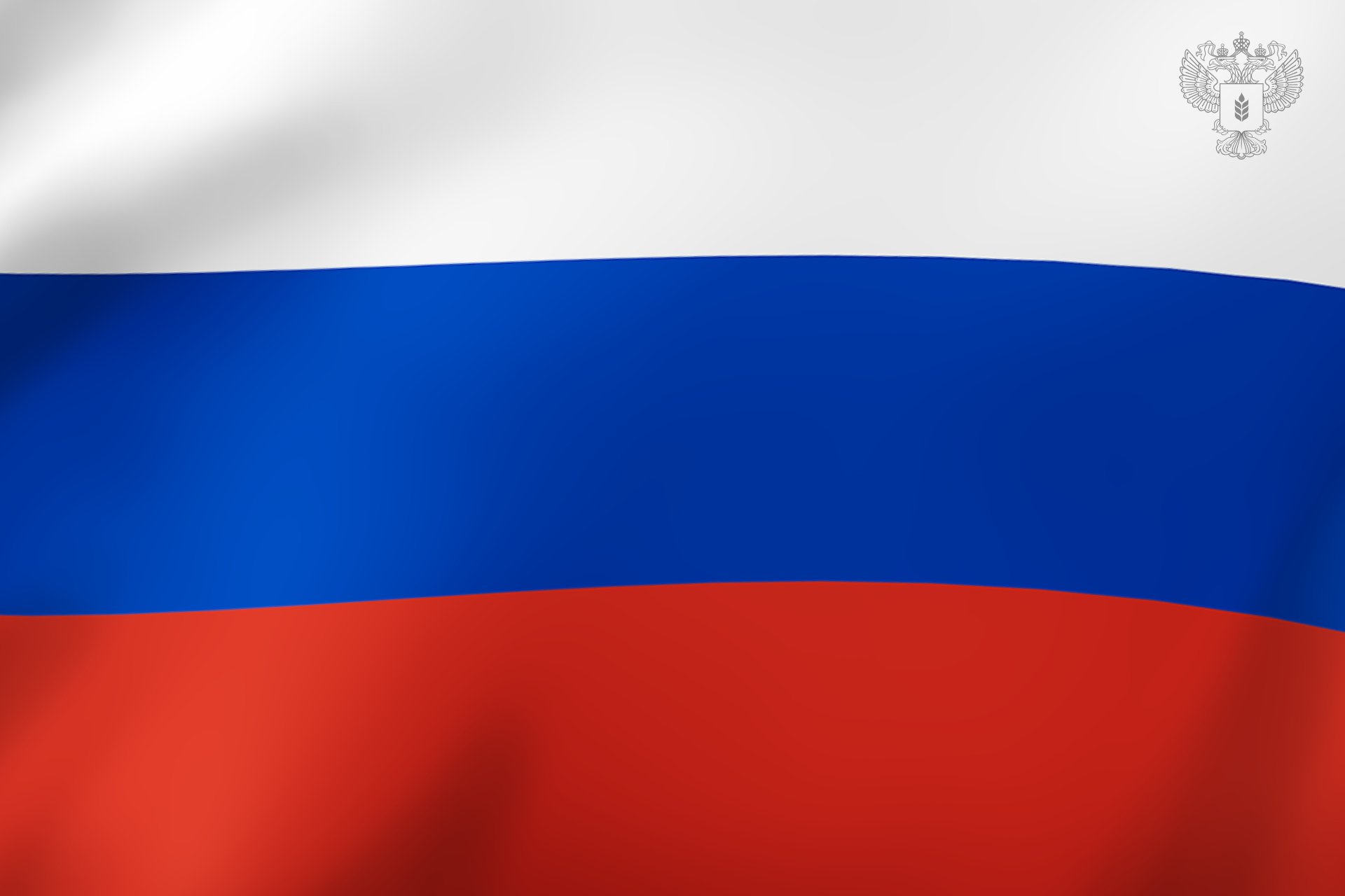 Поздравление Министра сельского хозяйства Оксаны Лут с Днем России