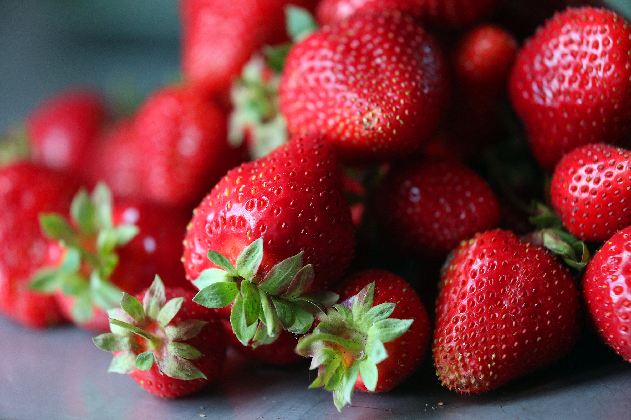 Кабардино-Балкария обновила собственный рекорд по производству плодов и ягод