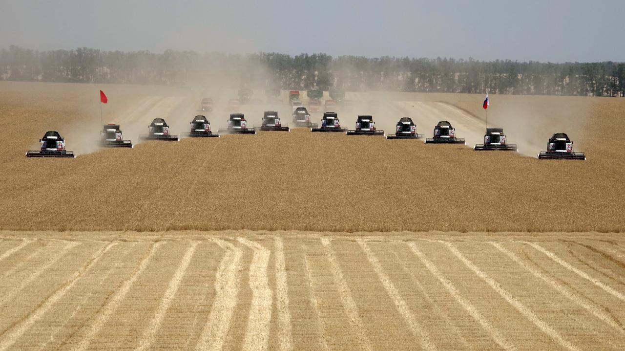 На Дону собрано более 7 млн тонн зерна нового урожая