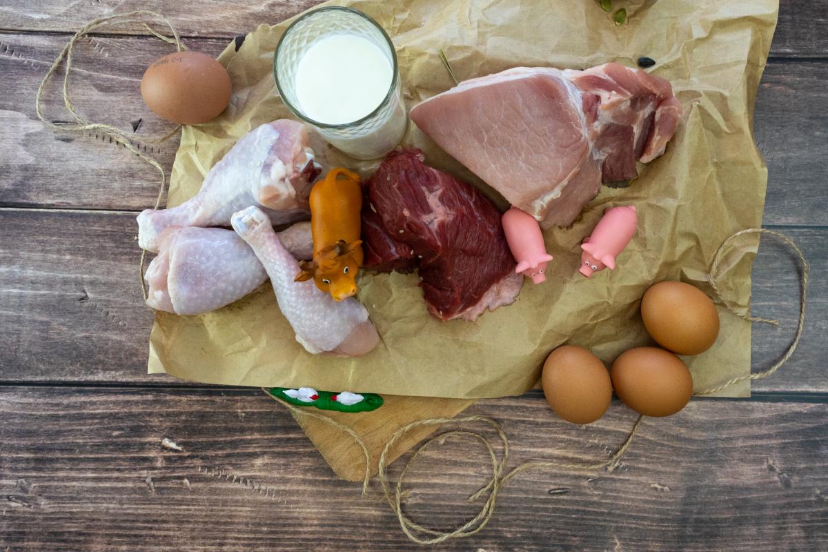 Объем производства птицы на убой в сельхозорганизациях Кузбасса вырос на 19,1%