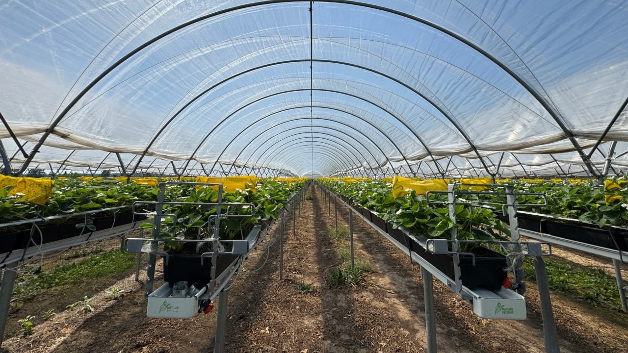 Благодаря адресной господдержке в Ивановской области развивается малый агробизнес