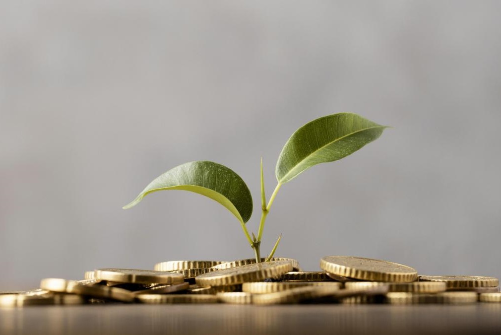 В Тамбовской области освоено свыше 0,9 млрд руб. господдержки АПК