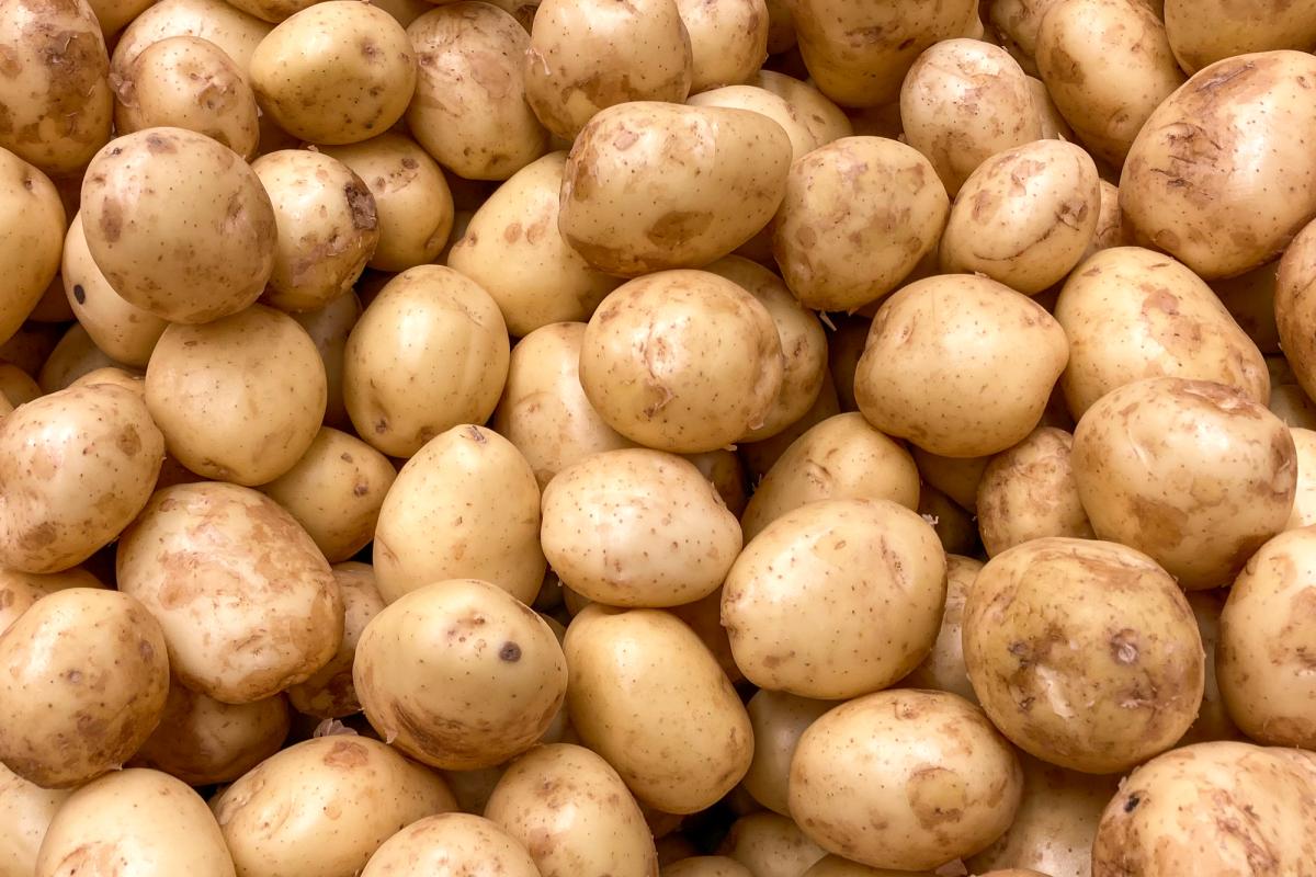 Свердловская область на 95,4% обеспечена овоще- и картофелехранилищами