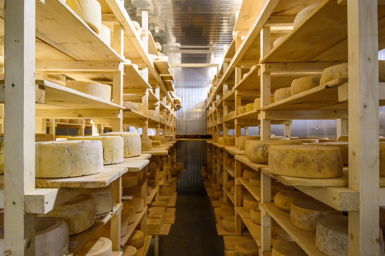 Московская область сохраняет лидерство в производстве и экспорте сыра в России